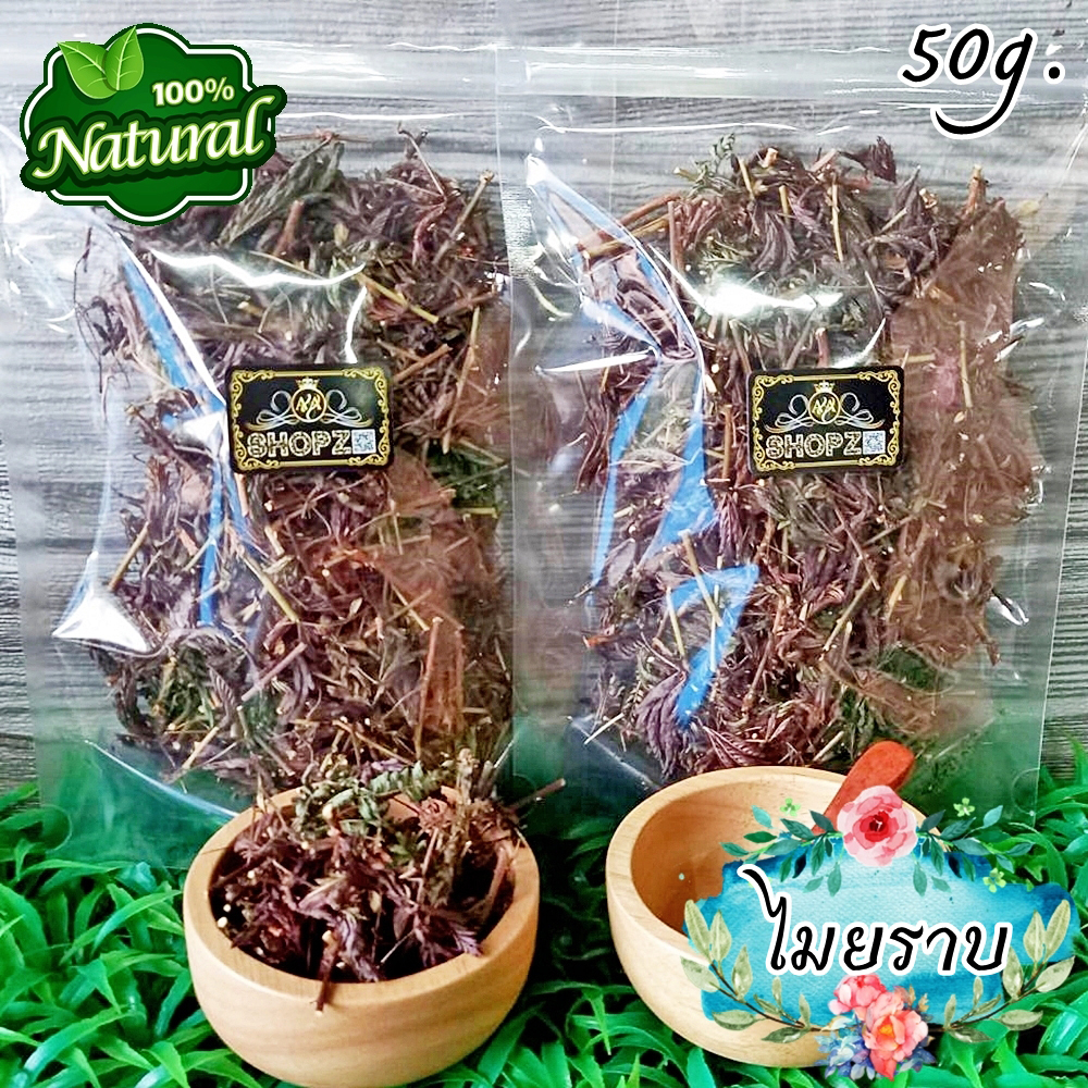 ชาสมุนไพร ชาไมยราบ ไมยราบอบแห้ง ขนาด 50 กรัม Dried Sensitive Plant