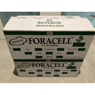 โฟมปักดอกไม้สด โอเอซิสปักดอกไม้สด สำหรับปักดอกไม้สด ตราฟลอร่าForacell 1 ลังมี 20 ก้อน (แบบสด)
