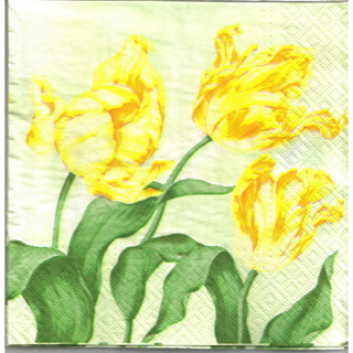 Pladao Napkin ภาพดอกไม้ ทิวลิปเหลือง Tulip พื้นเขียว กระดาษ แนพกิ้น สำหรับงานศิลปะ เดคูพาจ decoupage ขนาด L 33x33