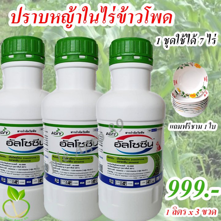 🔥เซตคุ้ม อัลโซซีน 3 ลิตร แถมฟรีชาม 1 ใบ อันโซซีน มีไซไตรโอน + อะทราซีน เมอเทค เมอทคยกลัง เมอร์เทคท์ คาลารีส คารารีส คา
