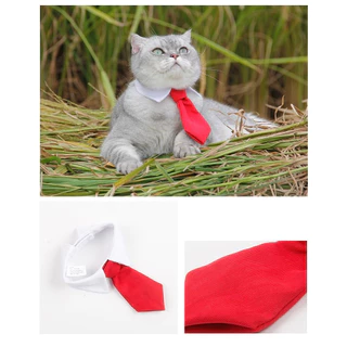 [🚚 พร้อมส่ง] เนคไทสัตว์เลี้ยง Gentleman Pet Tie เนคไท เครื่องประดับสัตว์เลี้ยง โบว์แมว หมา