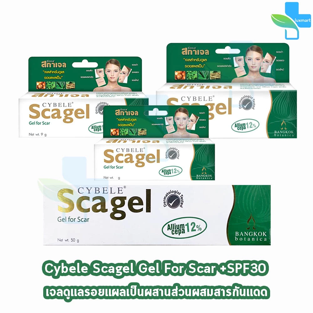 Cybele Scagel ซีเบล สกาเจล 4,9,19,50 กรัม เจลลดรอยแผลเป็น BB 531X [1 กล่อง]