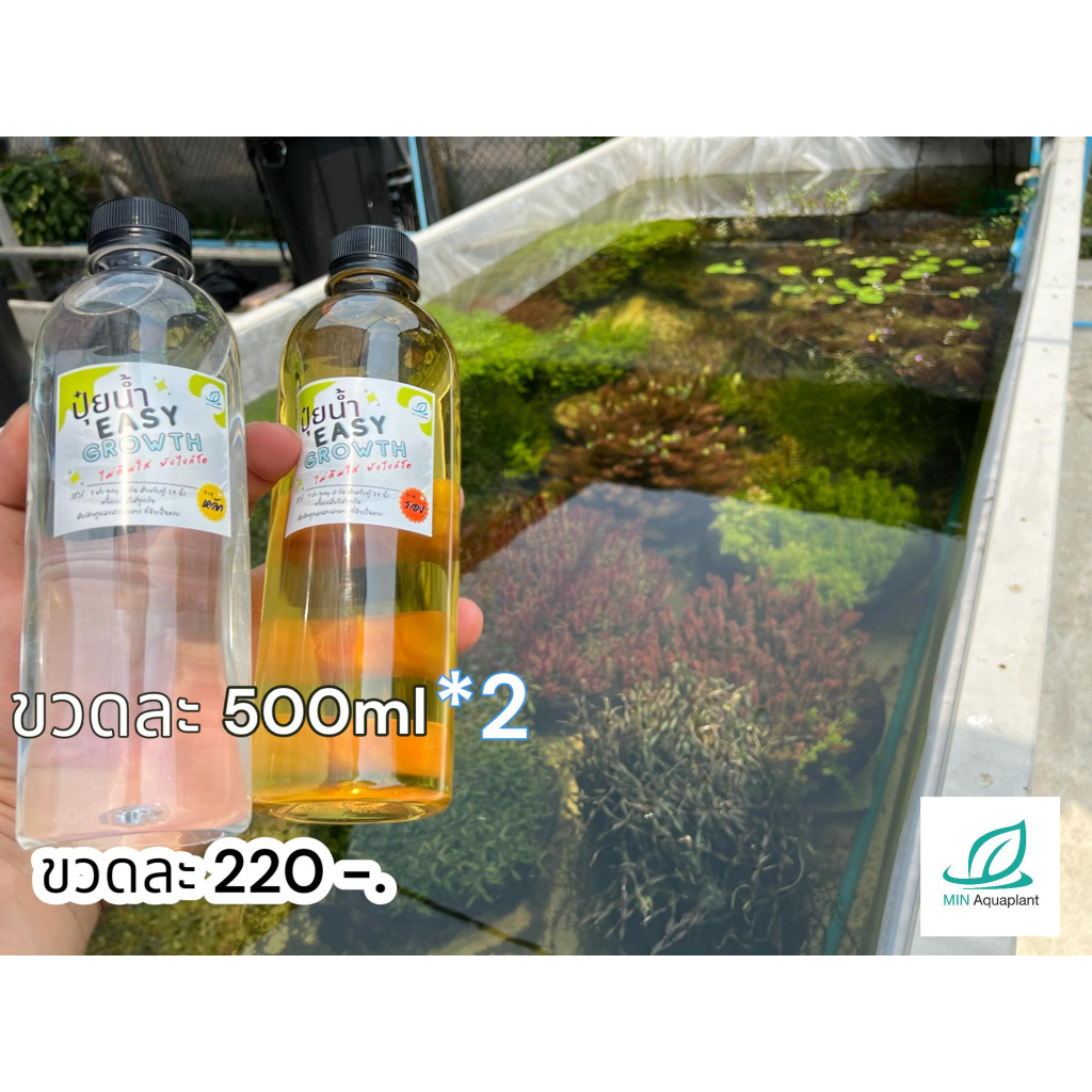 ปุ๋ยน้ำ Easy Growth "ไม่ลืมใส่ยังไงก็โต" ขวดใหญ่ จุใจ