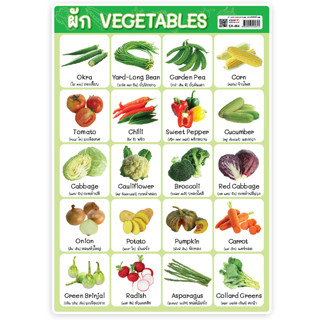 โปสเตอร์พลาสติกขนาด A4 EA-464 Vegetable ผัก