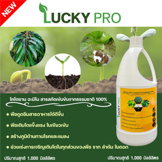 ไคโตซานอะมิโน1000ML.เพิ่มอาหารสร้างภูมิคุ้มกัน ต้านทานโรคและแมลง เร่งราก ใบดอกและผลLUCKY PROปรับสภาพดินและน้ำเจริญเติบโต