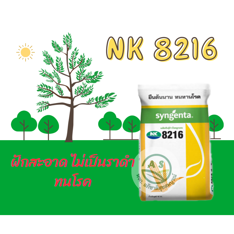 เมล็ดพันธุ์ข้าวโพด NK8216 เมล็ดสีส้มสวย ทนทานโรค เบอร์ 2หุน / 3หุน ขนาดบรรจุ 10 กิโลกรัม ผลผลิตสูง ฝ