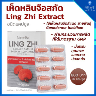 เห็ดหลินจือสกัด ชนิดแคปซูล กิฟฟารีน LING ZHI MUSHROOM GIFFARINE | หลินจือแดงสกัด บำรุงไต บำรุงหัวใจ ผู้สูงอายุ