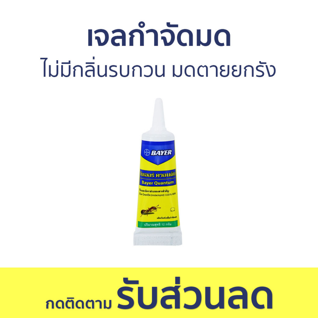 🔥แพ็ค3🔥 เจลกำจัดมด Bayer ไม่มีกลิ่นรบกวน มดตายยกรัง Quantum - กําจัดมด