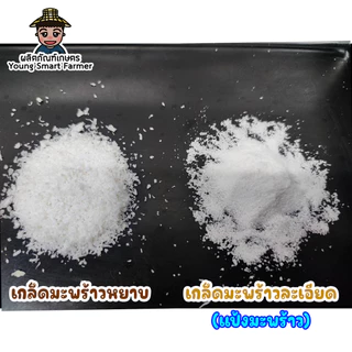 (มี อย.)เกล็ดมะพร้าวอบแห้ง มะพร้าวอบแห้ง แป้งมะพร้าว 1 กิโลกรัม (Coconut Flakes, Desiccated Coconut)