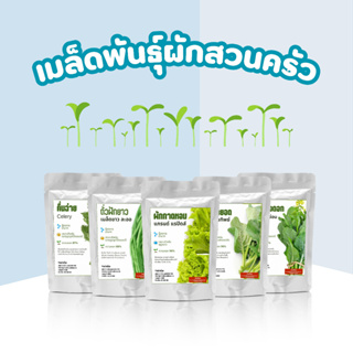 เมล็ดพันธุ์ผัก สวนครัว 100 กรัม-200 กรัม