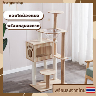 [PRE-ORDER] คอนโดแมว หลุมอวกาศแมว คอนโดไม้สไตล์มินิมอล ที่ปีนเล่นแมว