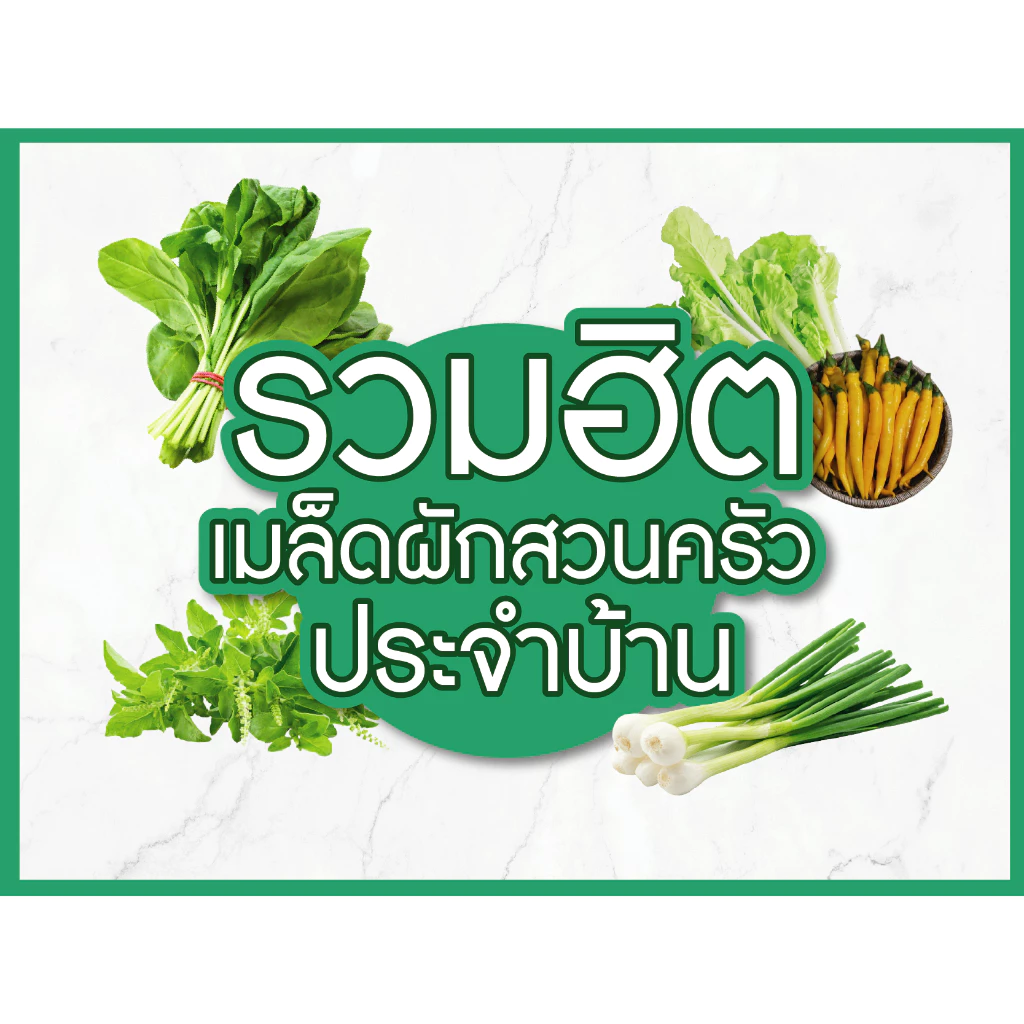 🔥 [รวมฮิต 5แถม 1] 🔥 เมล็ดพันธุ์ผักสวนครัวประจำบ้าน ปลูกง่าย โตไว 📌สินค้าราคาคุ้มค่าได้มาตรฐาน📌 ✅อัตราการงอกและรอดสูง✅