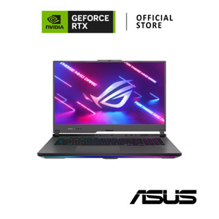 Asus ROG Strix G17 / NVIDIA GeForce RTX 4060 / AMD Ryzen 9 7845HX (ASUS_G713PV-LL047W)