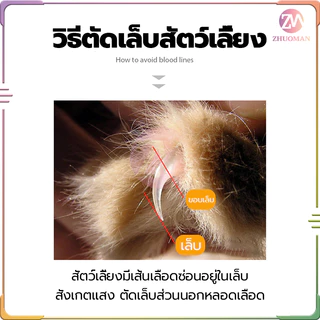 ตัดเล็บสุนัข กรรไกรตัดเล็บสัตว์เลี้ยง พร้อมตะไบ ตัดเล็บแมว กรรไกรตัดเล็บสุนัข มีให้เลือก ใช้ได้ทั้งน้องแมวและน้องหมา