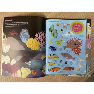 Aksara for kids หนังสือเด็ก สนุกกับการติด สติกเกอร์ ปลาสวยงาม ตามแนว ปะการัง