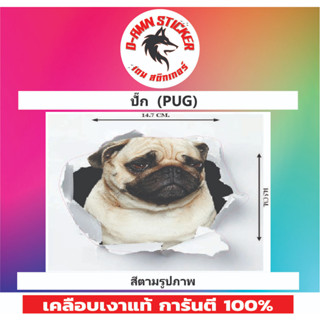 ✅สติ๊กเกอร์🔥💥น้องปั๊ก PUG ติดรถได้ทุกรุ่น📌