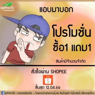 โปร 1.1  ซื้อ1 แถม 1