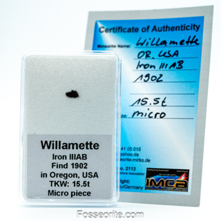 อุกกาบาต เหล็ก  Willamette Meteorite ชนิด Medium Octahedrite ชิ้นเล็ก พร้อมใบรับรอง จาก Germany #4 หนัก 0.015 กรัม