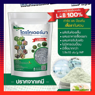 ไตรโคเดอร์มา แบบผง 1 ซอง (500กรัม) เพาะเชื้อจากห้อง LAB พร้อมใช้ กับตันไตโคร ปลอดภัย 100 % ปราศจากเคมี