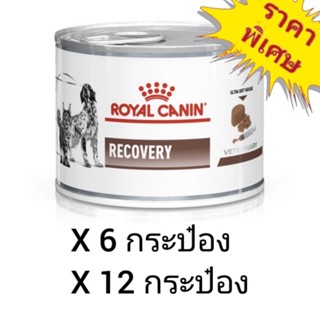 Royal Canin Recovery 195g. อาหารเปียกสำหรับสุนัข-แมวป่วย หลังผ่าตัด