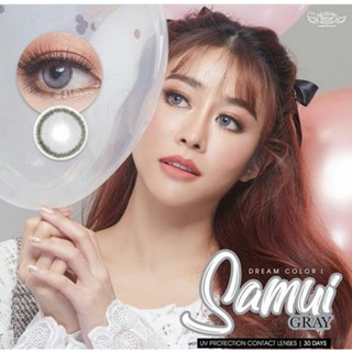 Samui/Mini Samui gray Dream color1(0.00-6.00)