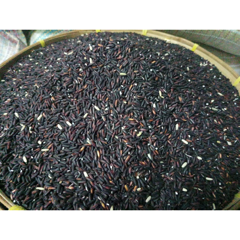 ข้าวลืมผัว ข้าวเหนียวดำ ข้าวเหนียวสีลาภรณ์ ข้าวก่ำ ปลูกใน ต.ห้วยข้าวก่ำ เหนียวนุ่ม กลิ่นหอม ปลอดสารพิษ