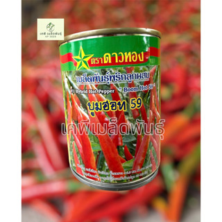 พริกบูมฮอท59(ดาวทอง)