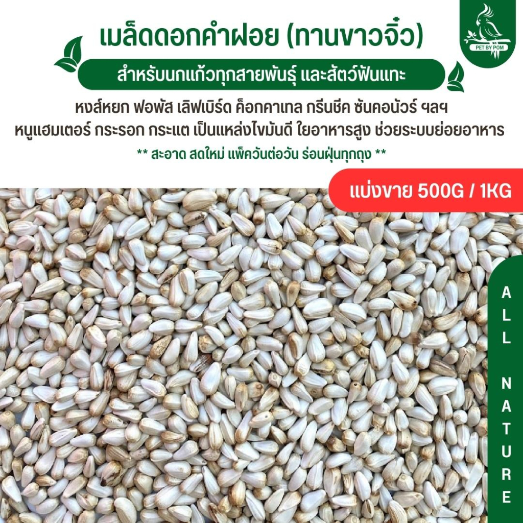 ทานตะวันขาว ดอกคำฝอย เม็ดเล็ก อาหารนก อาหารธัญพืชสำหรับนก (แบ่งขาย 500G / 1KG)