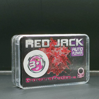 Red Jack Autoflower - Growers Choice