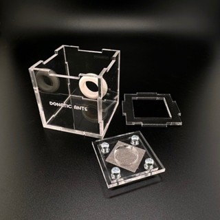 OW รังมดอะคริลิค 50 x 50 mm สำหรับหลอดทดลอง 15 และ 18 mm - Donatic Ants