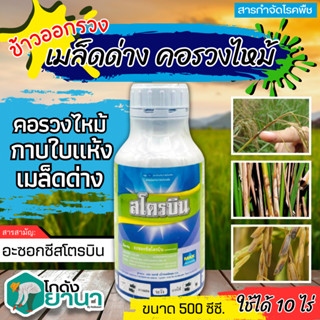 🌾 สโตรบิน (อะซ็อกซีสโตรบิน) ขนาด 500ซีซี ป้องกันกำจัดโรคเมล็ดด่าง และกาบใบแห้งในข้าว