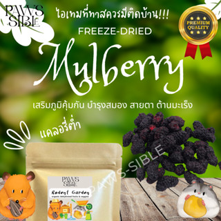 [Paws-sible] Rodent Garden: Mulberry มัลเบอร์รี่ ลูกหม่อน อาหารแฮมสเตอร์ อาหารแฮมเตอร์ ขนมกระต่าย ขนมแกสบี้ ขนมกระรอก