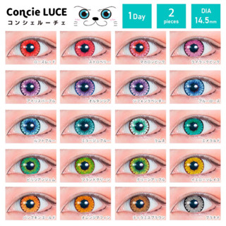 🐭พร้อมส่ง🐭 *รายวัน* มีค่าสายตา Concie Luce คอนแทคเลนส์คอสเพลย์ คอนแทคเลนส์ญี่ปุ่น รายวัน สีชัด สายตาสั้น บิ๊กอาย Cosplay