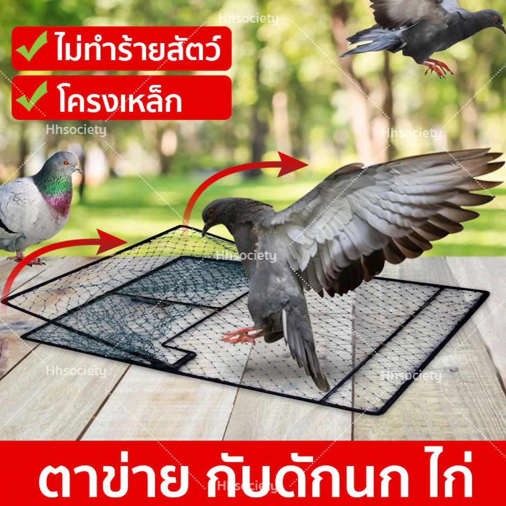 HHsociety ที่ดักนก ที่ดักไก่ โครงเหล็ก สปริงแรง ตาข่ายดักนก ไนล่อนเหนียว ดักนกพิราบ ดักสัตว์เล็ก