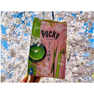 ✨Pocky รสใหม่✨ Pocky Chocolate รสมัทฉะซากุระ 🌸1 แพคมี 8 ซอง