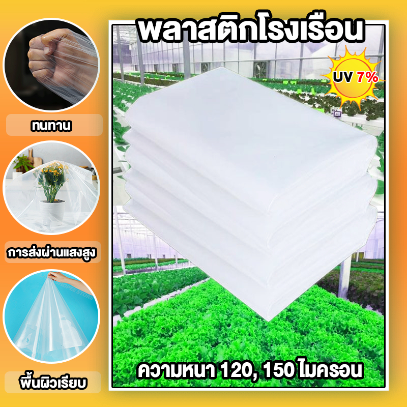 พลาสติกโรงเรือน พลาสติกใส พลาสติกคลุมโรงเรือน กันฝนgreenhouse หนา 150 ไมครอน UV7% โรงเรือนแคคตัส พลาสติกปูบ่อ กันสาด6×10