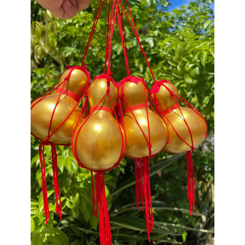 น้ำเต้าทอง น้ำเต้าเงิน แท้จากธรรมชาติ - รูปที่ 3