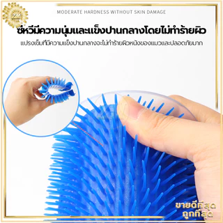 แปรงนวดแมว ที่นวดแมวแปรงขนแมว หวีแมว ของเล่นแมว ออกแบบแยกชิ้นเพื่อทำความสะอาดง่าย