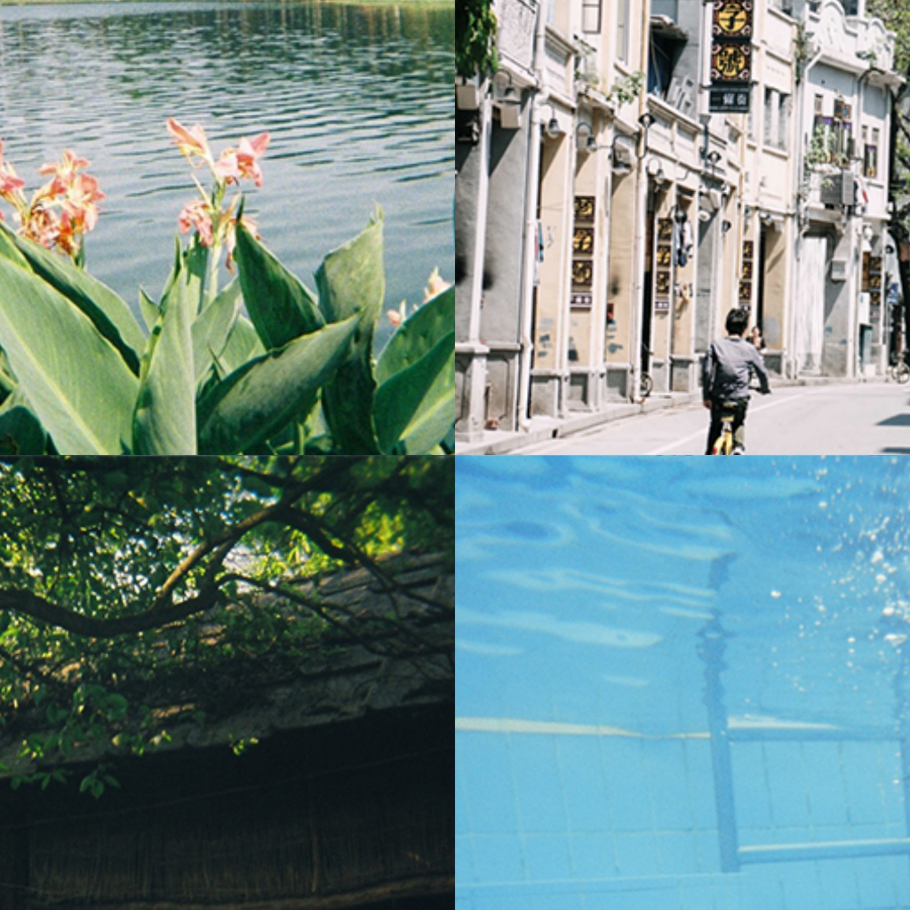 กล้องฟิล์มกันน้ำ Book of 4 Seasons Film Camera