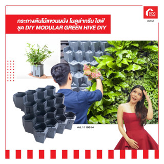 กระถางต้นไม้แขวนผนัง โมดูล่ากรีน ไฮฟ์ ชุด DIY MODULAR GREEN HIVE DIY (สั่งซื้อได้เเค่ 2 ชิ้นต่อออเดอร์)