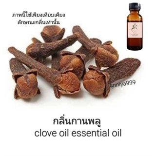 น้ำมันกานพลู clove oil essential oil น็อคปลา