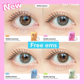 [ส่งฟรีEMS] Wawa series สีใหม่จัดเต็ม4สี☀️🌸❄️🍃 | เลนส์เกาหลีรายเดือน ทักแชทก่อนกดสั่งซื้อ‼️