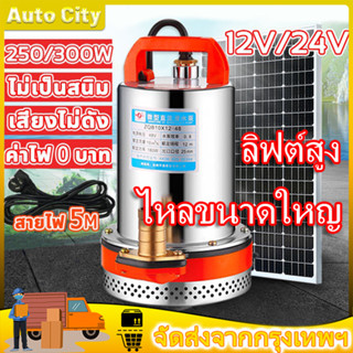 PNT สแตนเลส ปั๊มจุ่ม 12/24V ไดโว่ เจ้าพระยา แรงดันสู แบตเตอรี่ มอเตอร์ทองแดงแท้ 100%(ไดร์โว่ดูดน้ำ 12v ปั๊มน้ำ 12v เครื่