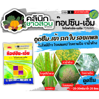 🥬 ท็อปซิน-เอ็ม (ไทโอฟาเนต-เมทิล) บรรจุ 100กรัม ป้องกันกำจัดโรคเมล็ดด่างของข้าวที่มีสาเหตุจากเชื้อรา