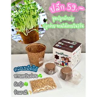 ชุดปลูกผัก ทานได้ภายใน7วัน( แจ้งเมล็ดทางเชท )