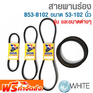 สายพานร่อง B53-B102 ขนาด 53-102 นิ้ว ยี่ห้อ DOG จัดส่งฟรี!!!