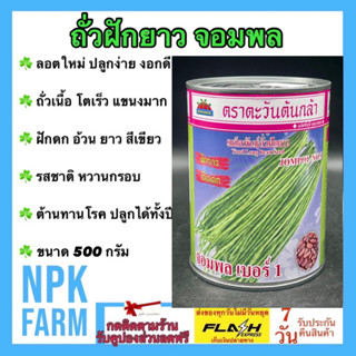 ถั่วฝักยาว จอมพล ขนาด 500 กรัม เมล็ดพันธุ์ ตะวันต้นกล้า ลอตใหม่ โตไว ถั่วเนื้อ ฝักเขียวอ่อน ติดฝักดก แข็งแรง ต้านทานโรค