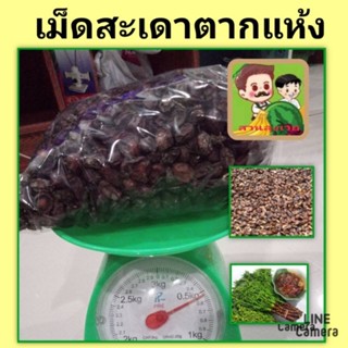 เม็ดพัน์ุต้นสะเดาพื้นบ้าน เม็ดสะเดาตากแห้ง เม็ดพันธุ์ต้นไม้เศรษฐกิจ ถุงล่ะ 500 กรัม/5 ขีด