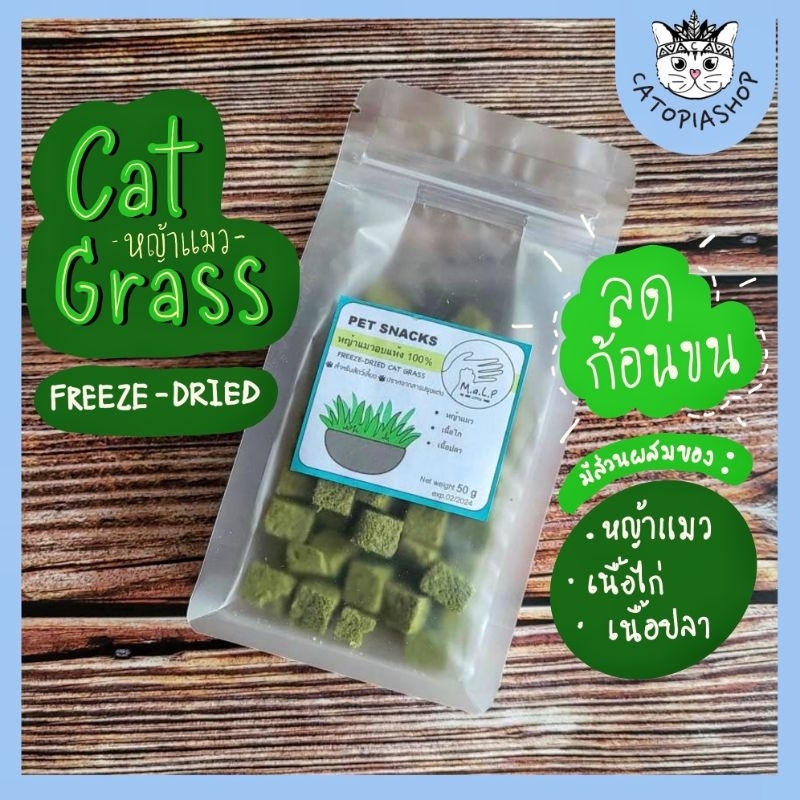 (M.a.L.P.) หญ้าแมวฟรีซดราย หญ้าแมวอบแห้ง ต้นอ่อนข้าวสาลี ขนมสัตว์เลี้ยง