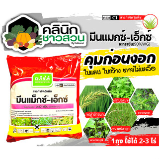 🥬 มีนแม็กซ์-เอ็กซ์ ตราเจียไต๋ (อะมีทรีน80%WG) บรรจุ 1กิโลกรัม คุมก่อน-หลังงอกหญ้าใบแคบ ใบกว้าง